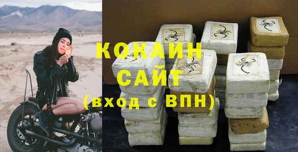 винт Ветлуга