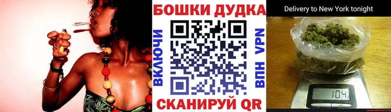 Канабис OG Kush  Каневская 
